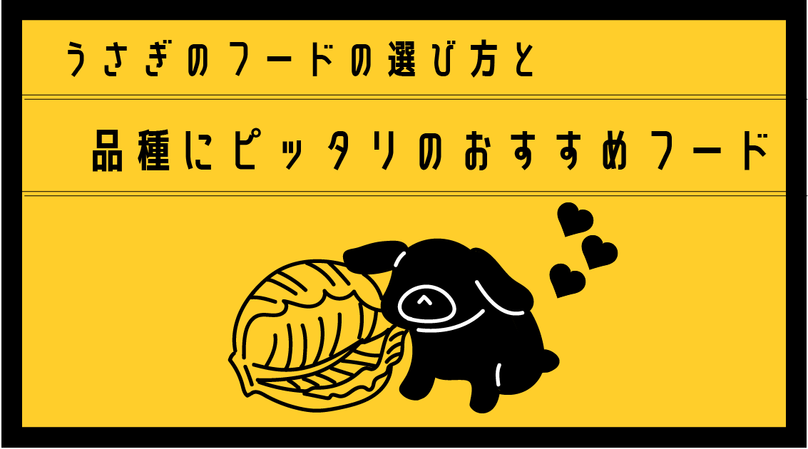 ホーランドロップ】うさぎのフードの選び方｜品種にピッタリのおすすめフード とサプリメント【ネザーランドドワーフにも】 | Rag  Lop