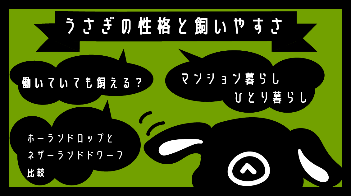 共働き 一人暮らし うさぎの性格と飼いやすさ ホーランドロップとネザーランドドワーフの比較も Rag Lop