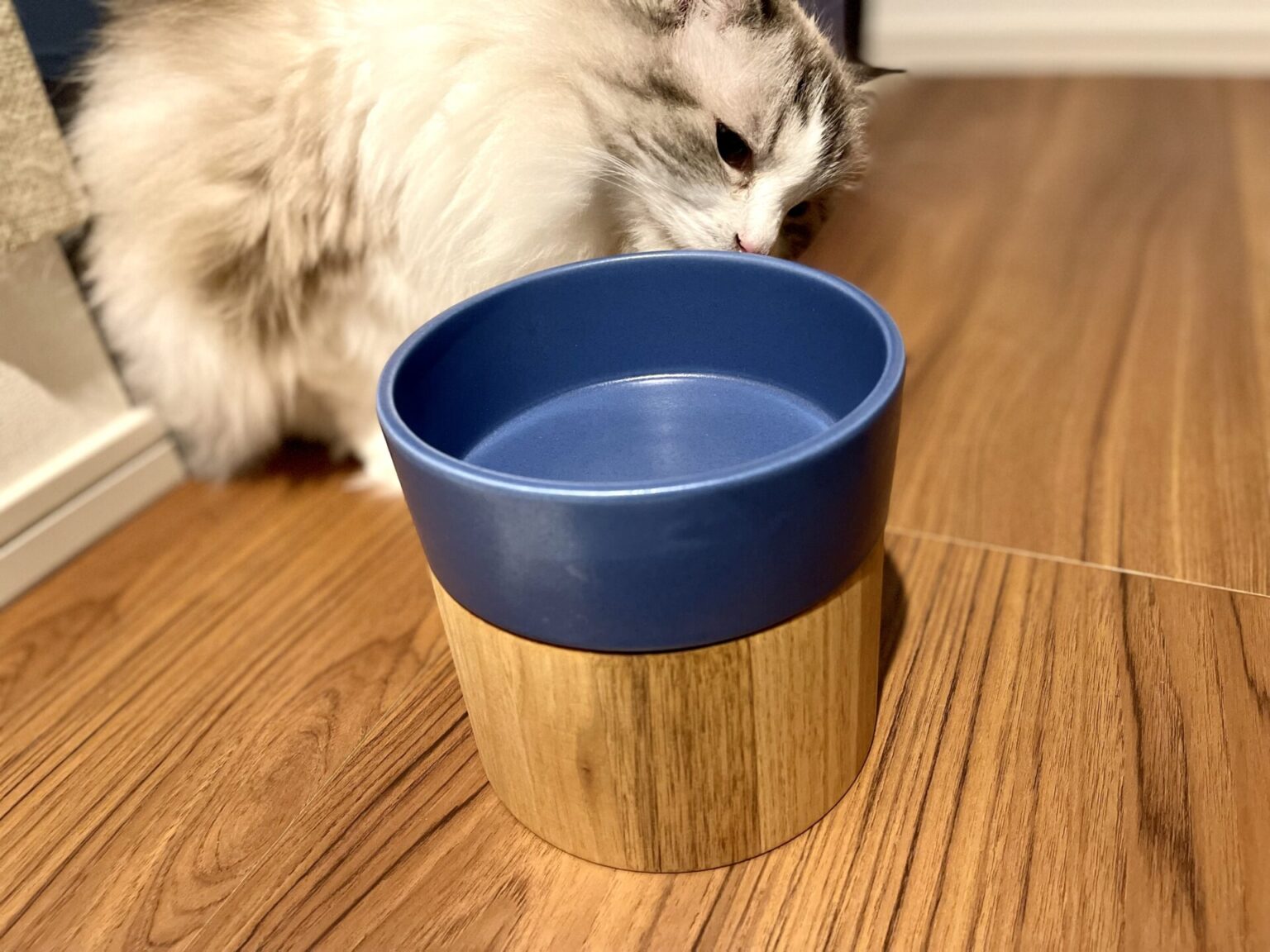 【レビュー】& CAT｜アンドキャット｜ウォーターボウル HM BOWL｜猫用水飲み【楽天限定アウトレットセールもやってる！】ヘルスウォーター